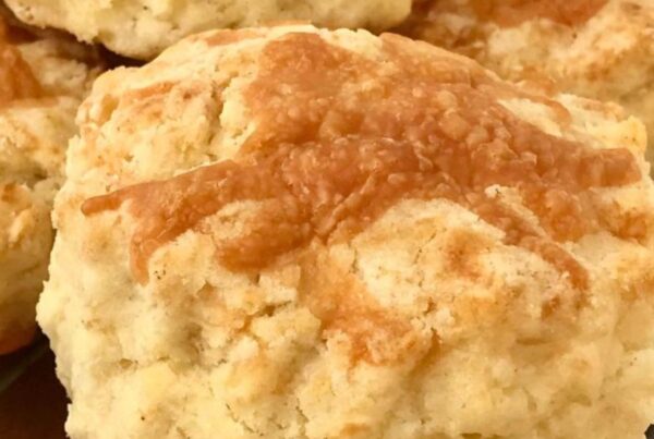 The best tasting Cheese Scone in New Zealand